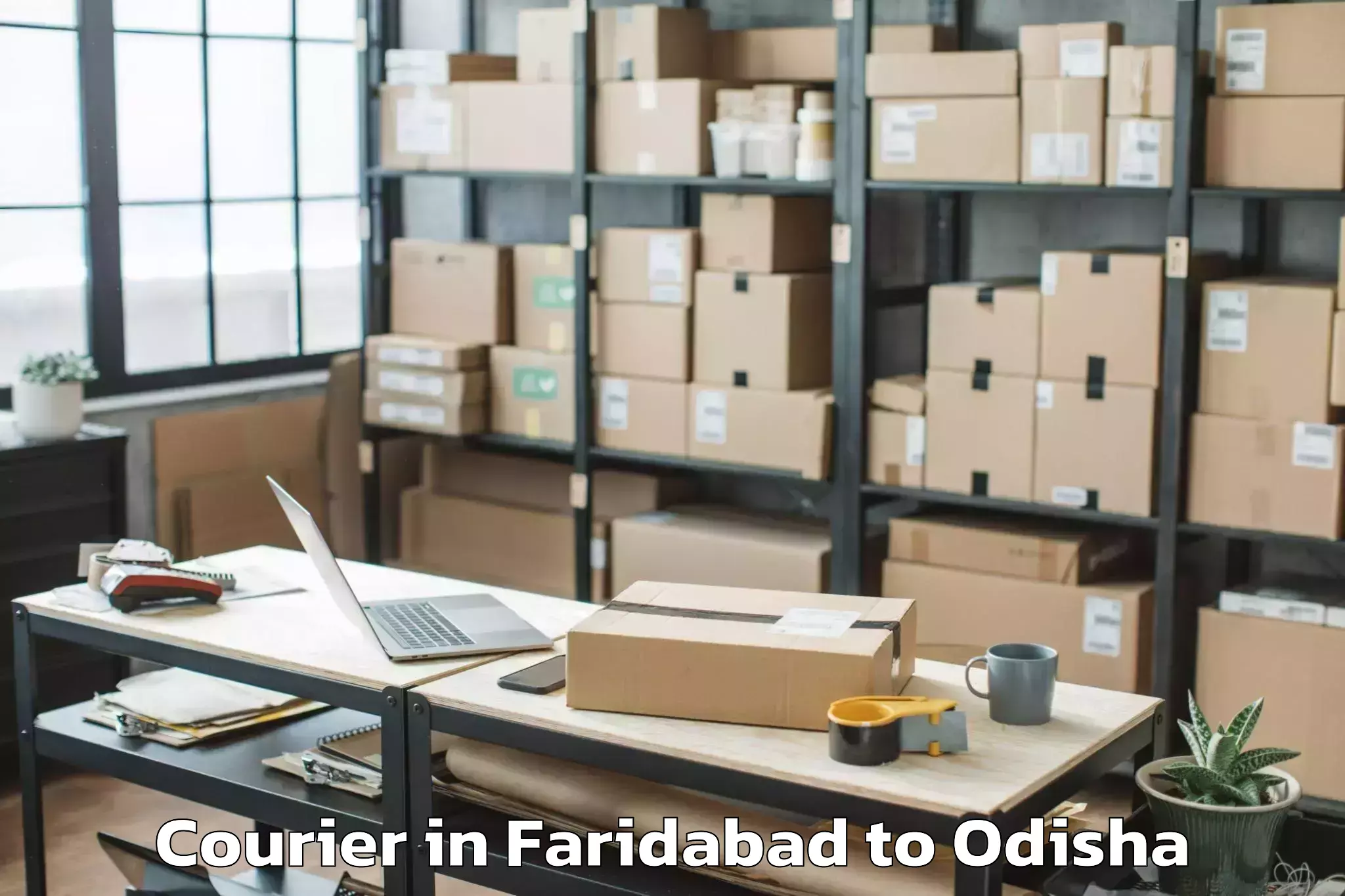 Faridabad to Delang Courier